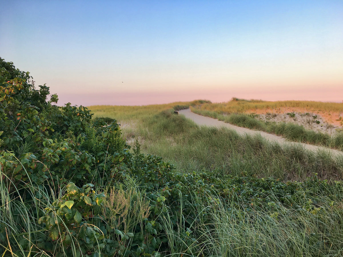 10 Must-See New England Beaches