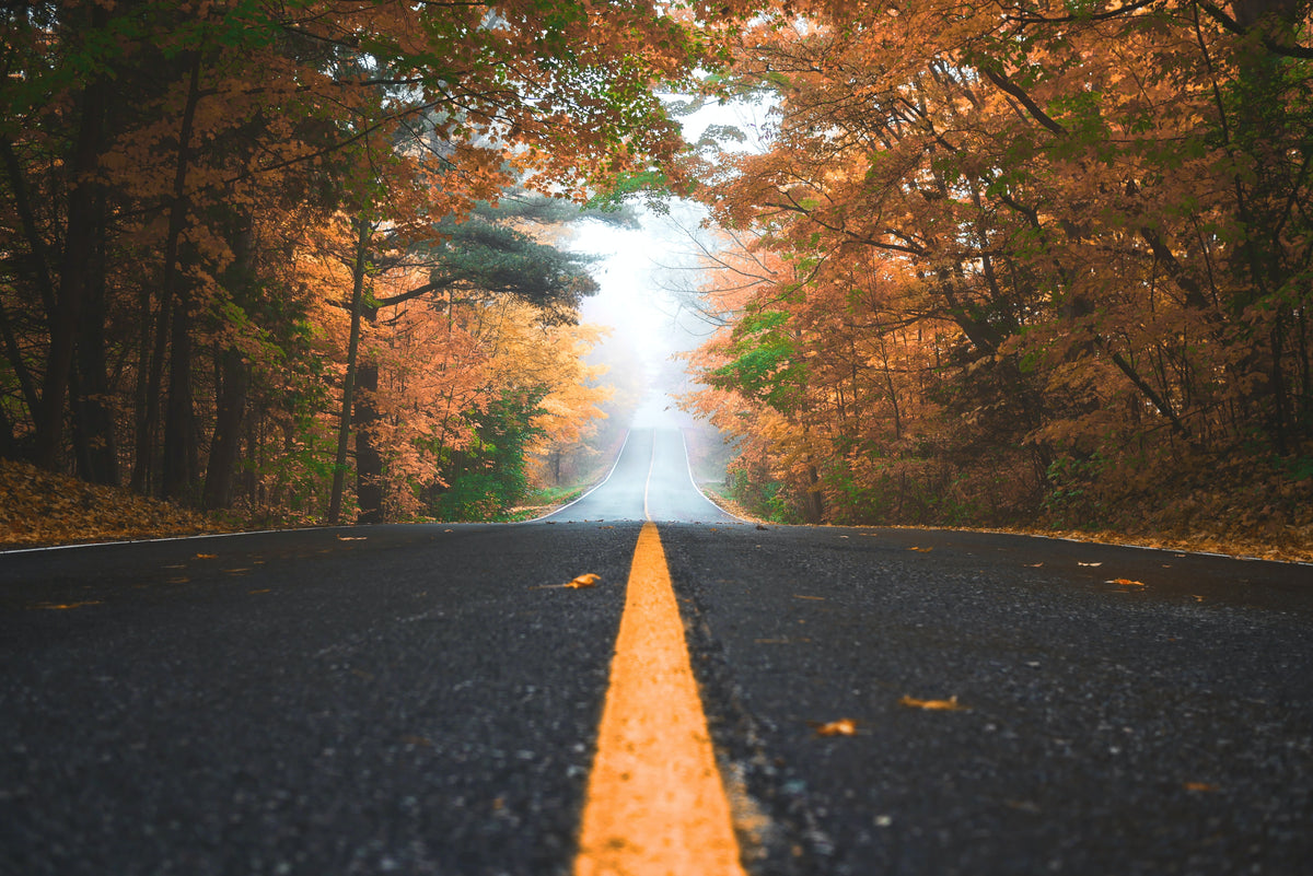Top 10 Places to see Fall Color Change Early
