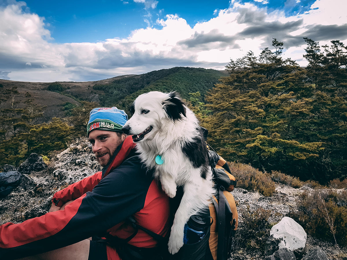 5 Tips for Hiking With Dogs