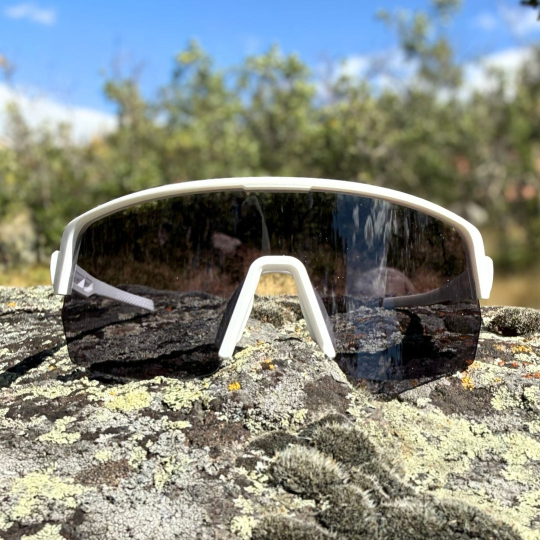 Timp Photochromic